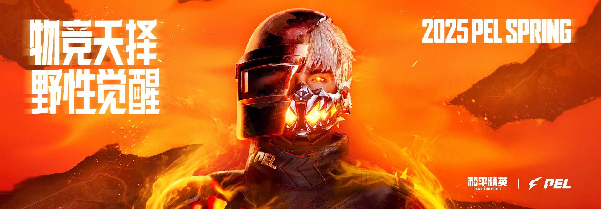 和平精英辅助【飞鸟】